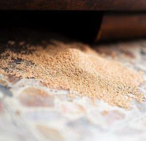 Bau Aneh dan Serbuk Kayu? Bisa Jadi Itu Alarm Rayap